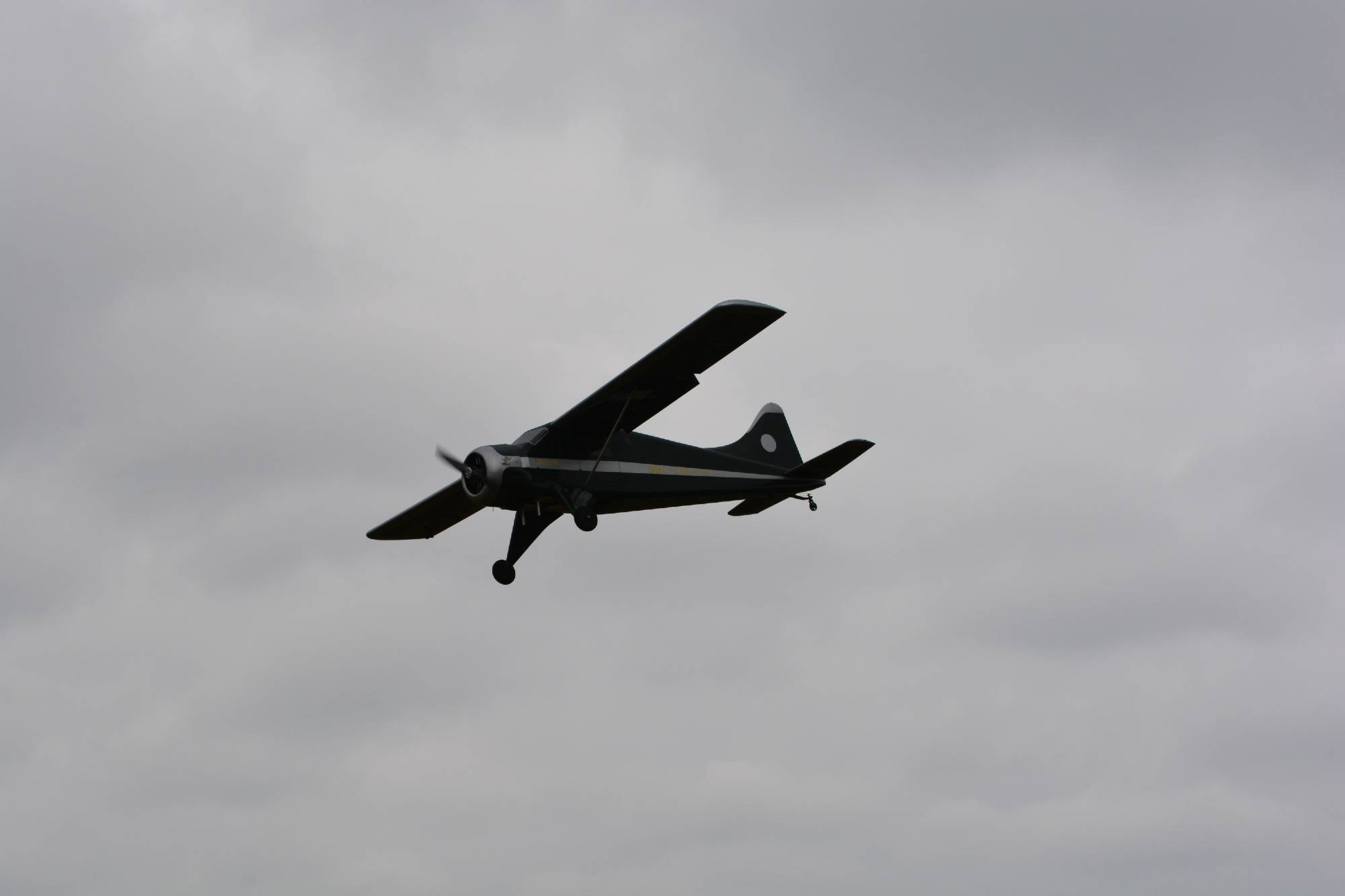 k DSC 5511